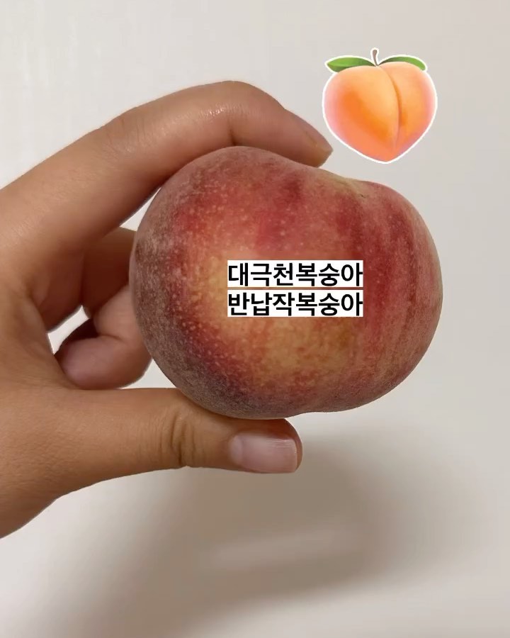 5월31일 주문하고 오늘 받은

#대극천복숭아 #반납작복숭아 

나의 첫 반납작복숭아🍑

시원하게 먹어야 더 아삭하고 달고 맛있넹😛

#오늘과일 #복숭아 #납작복숭아 #첫납작복숭아 #🍑 #🍑🍑 #쿠마과일 #납복🍑 #납복 #납복성공 #과일추천 #과일스타그램 #제철과일 #복숭아추천 #seonyee