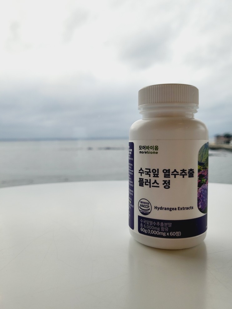 수국잎 열수추출 플러스 정 모어바이옴