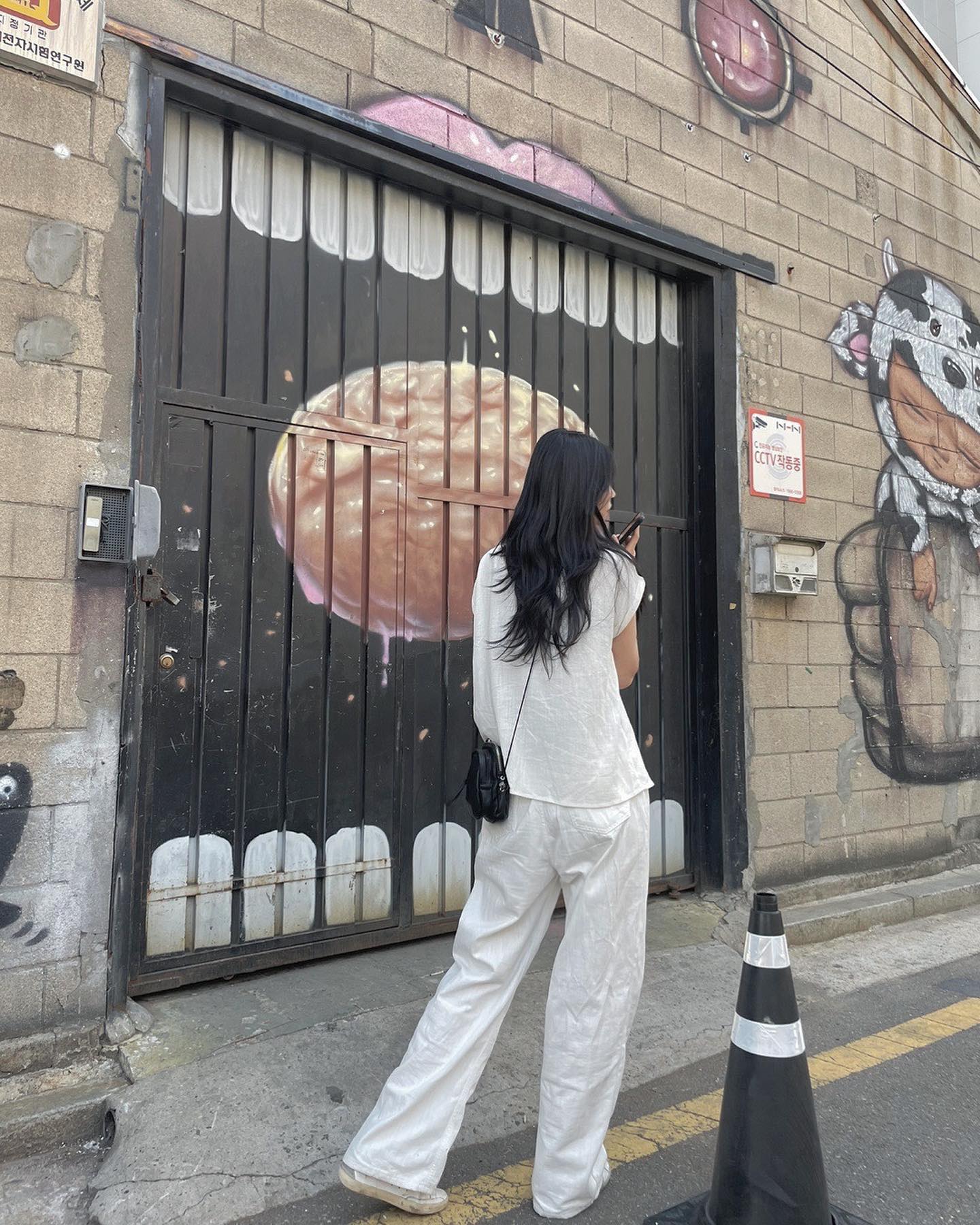 오늘 컨셉 흰둥이🤍