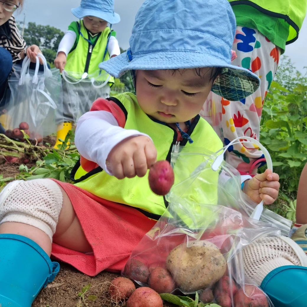 감자 수확

형, 누나들이 심은 감자 캐러 다녀왔어요 🥔
시우가 다니는 어린이집은 체험 활동도 많이 가고 촉감놀이도 자주 하는 곳이에요

활동적인 시우한테는 참 좋은 곳이죠👍

야무지게 캐고 담고 들고 왔어요
오늘은 감자 치즈전으로 반찬 해줘야겠어요!!

진짜 촌 아이처럼 나온 사진들
더워서 얼굴이 익었어요 ㅋㅋㅋ

그래도 엄마 눈에는 귀엽네요😍
