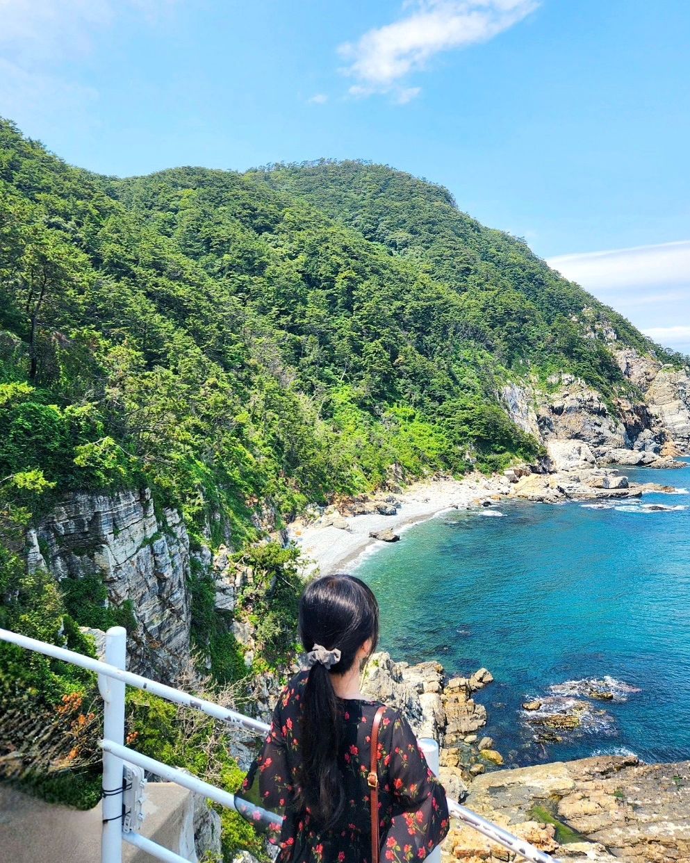 🩵 🏞 🌊 BUSAN 👧🏻🌹 🐈‍⬛ 🐈