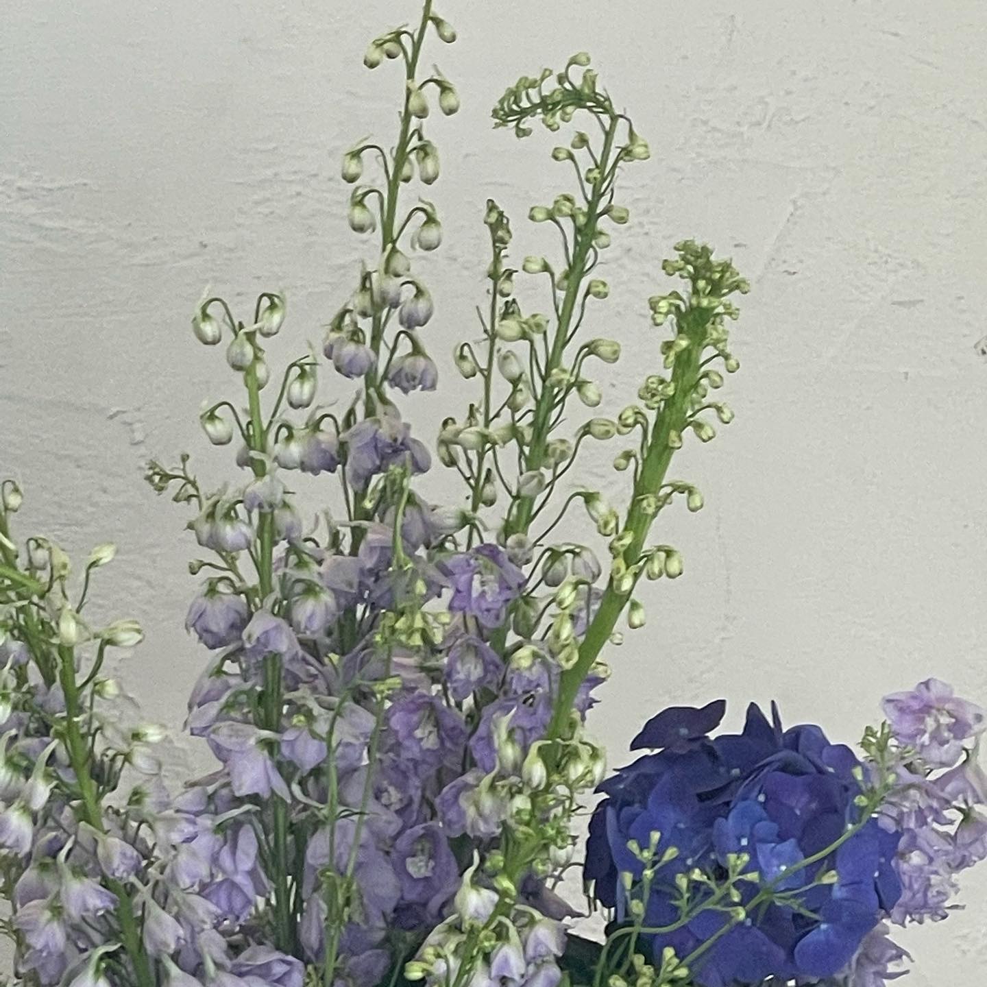 감사한 것들이 꽤 쌓여간다.
마음에서 마음으로, 눈에서 눈으로..
조금만 더 참아내야 하는 이유.
힘을 덜 쓰고 자유로워지라 말들 하지만 조금만 더 조금만 더 말하며 다음을 기약하는 이유.
인생은 한번뿐이고 다시 돌아오지 않을 시간 그렇기에 꽉 채워 담는중인 지금. 
고마움도 한가득 채우고 
눈물도 한가득 채우고
그리움도 채우고 
그리고 애정은 흘러넘치는
