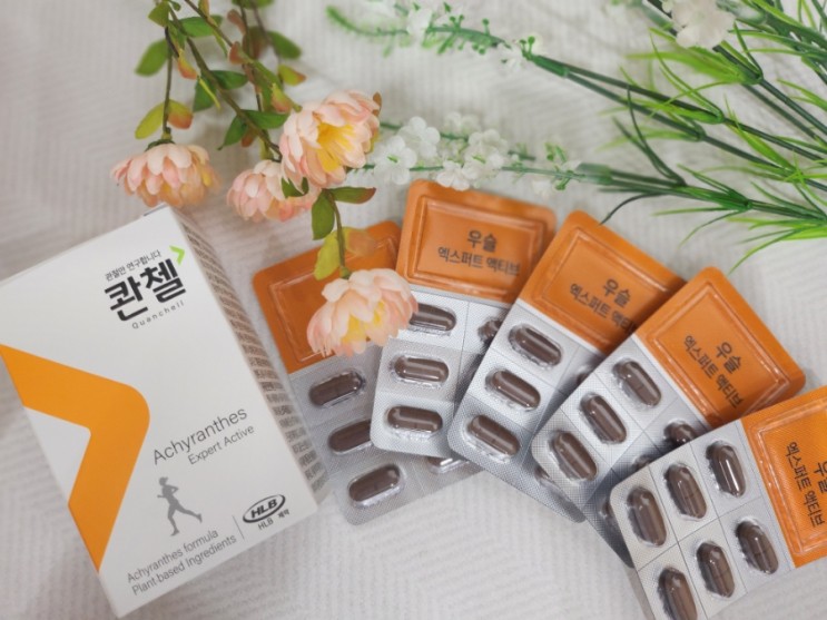 부모님관절 영양제 콴첼 우슬 엑스퍼트 관절 연골 영양제