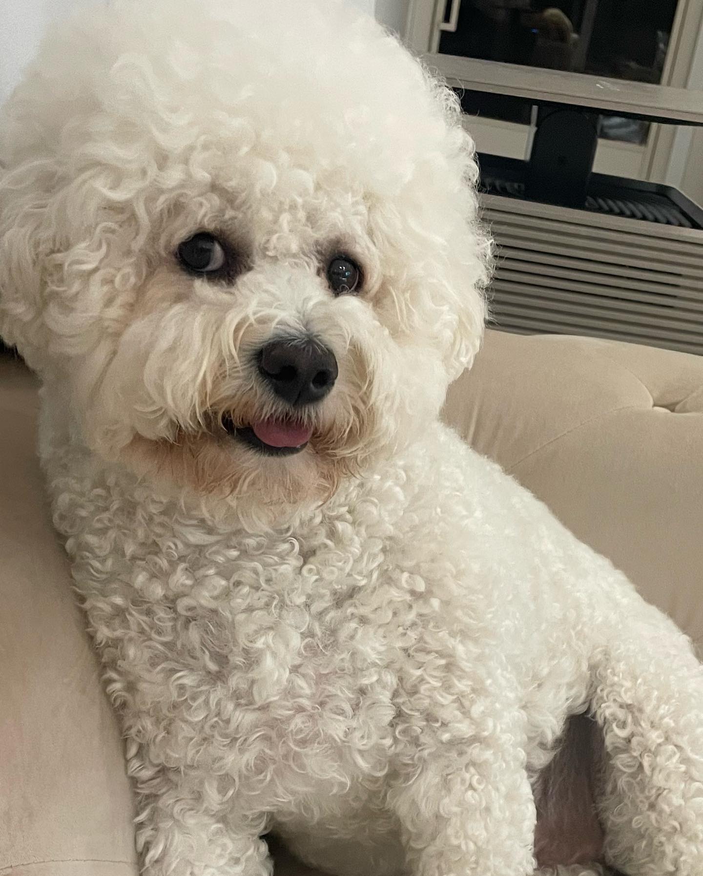 비 언제까지 온대? 웅? (๑•̌.•̑๑)ˀ̣ˀ̣