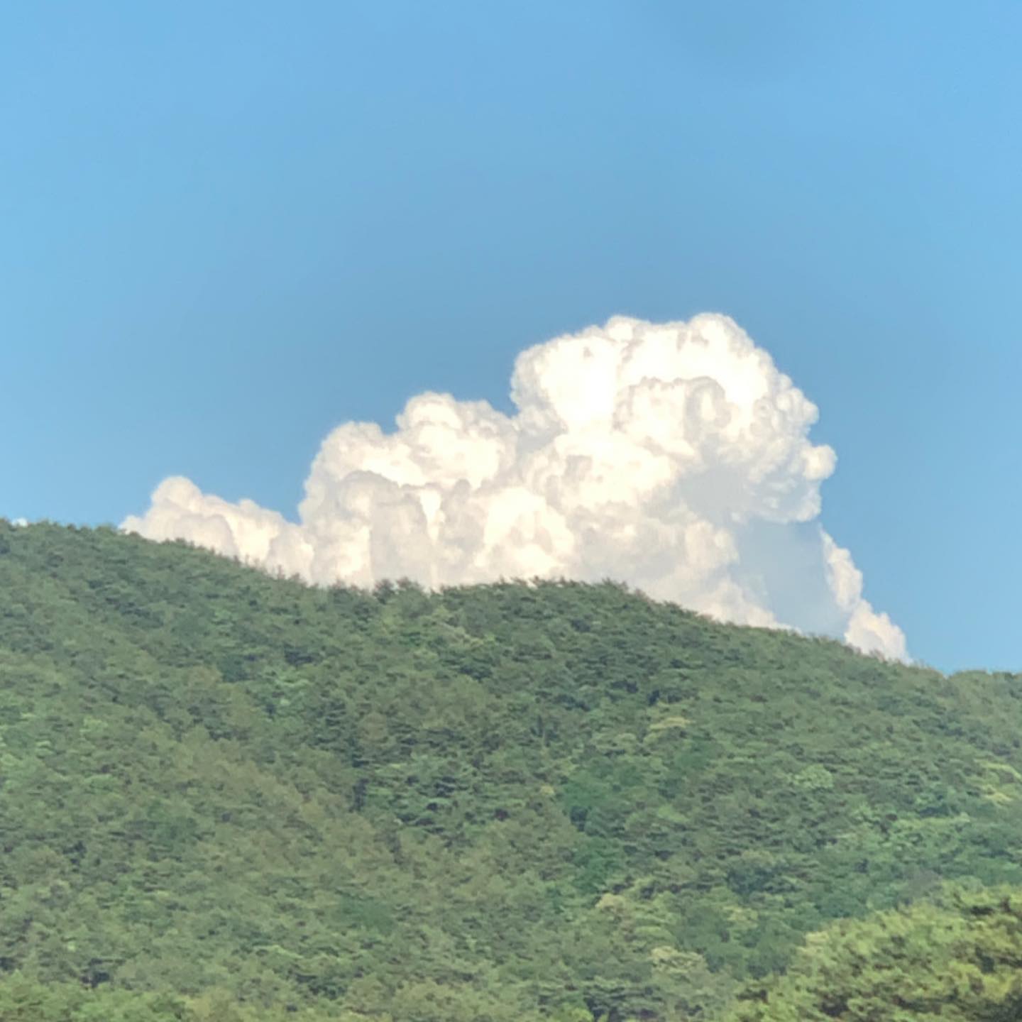 잠시나마 벗어났었어용
