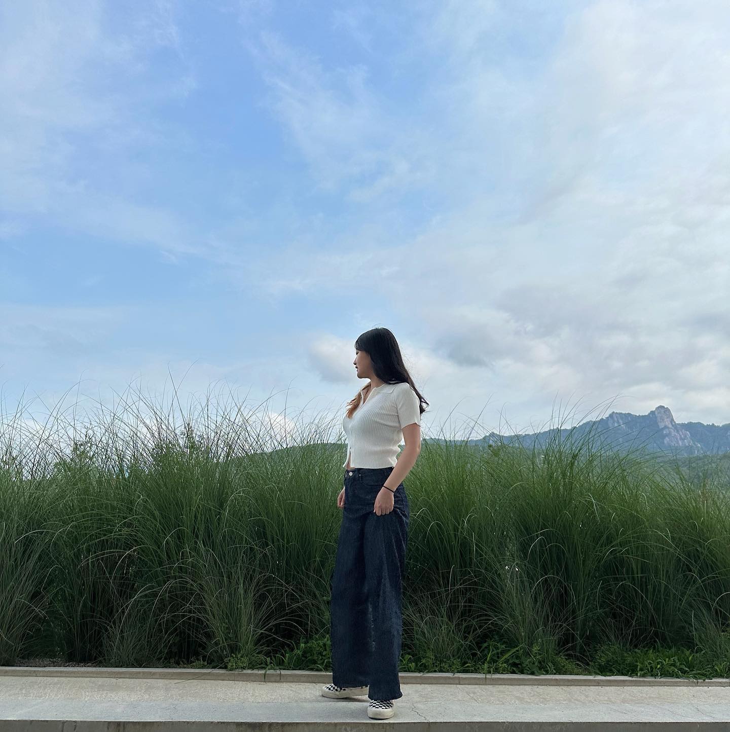 콘텐츠