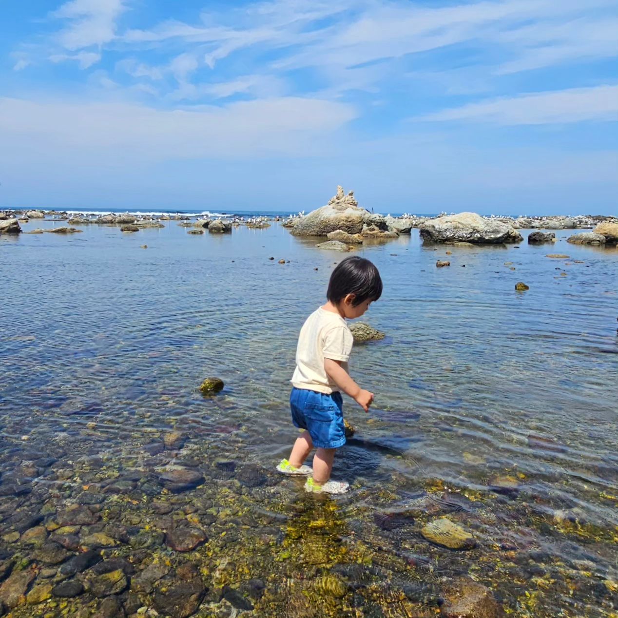 🤍

우연히 들린 바닷가

바닷물이 맑고 얕은데 파도도 잔잔해서
건베가 바닷물에 발담그고 놀기 무척 좋았던 곳🥰

다음엔 텐트랑 돗자리도 들고가볼까😘

물속에서 작은 게랑 초록색 물고기 봤다고 조잘조잘 말하는 수다쟁이 건베

.
.
.