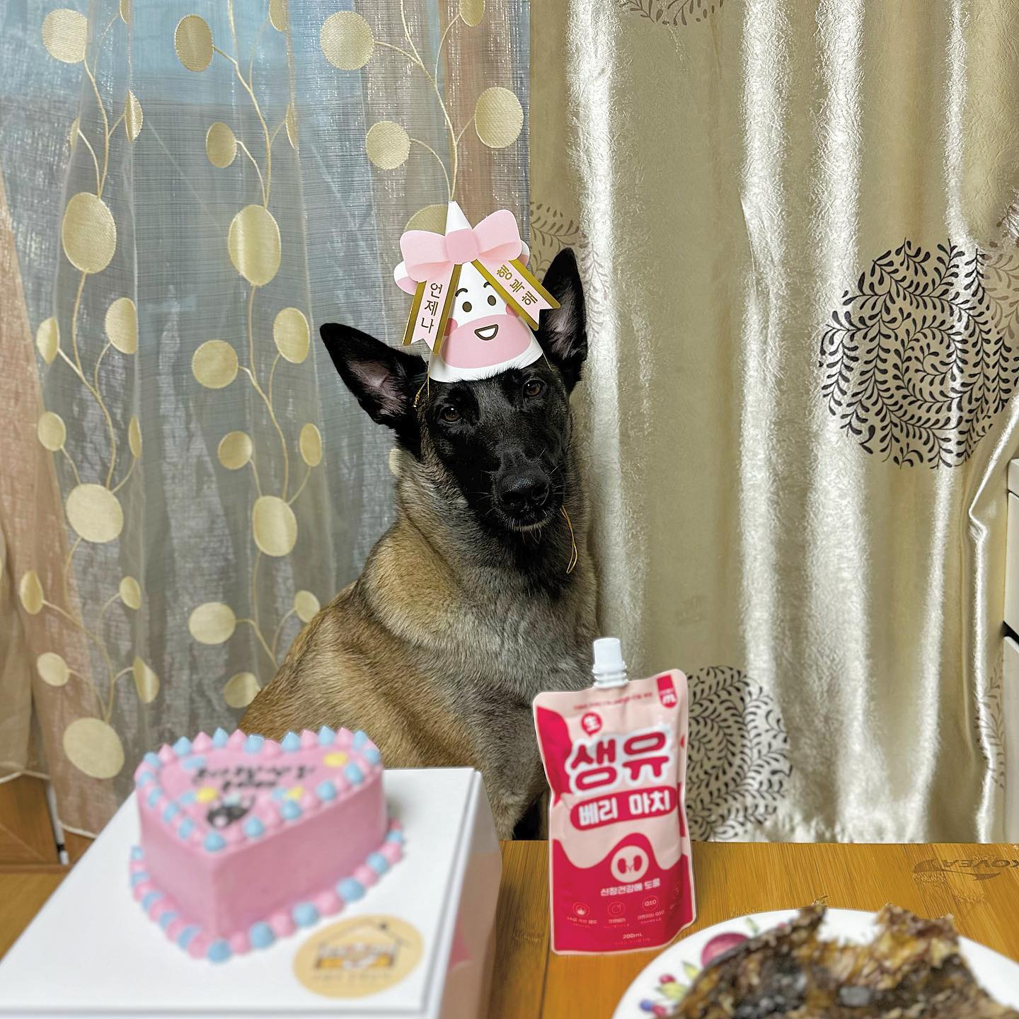 론다의 생일을 더욱 빛내준 gomae_petfood 고메네수제간식❤️
케이크도 너무 이쁘고 깨알같은 론다 그림까지😆 감사합니다❣️🎉