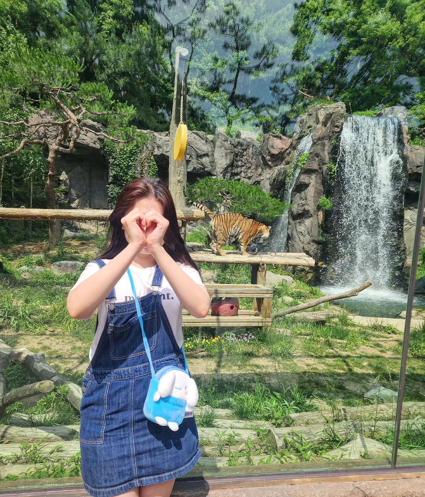 🐯🐯