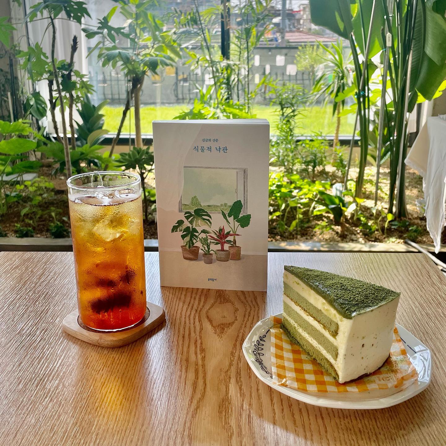 올 여름을 낙관하고 식물하게 만들어준 식물적 낙관🌿 아지트에서 여름나기 준비 완료🫶

 #식물적낙관 #김금희산문 #식물하는일상