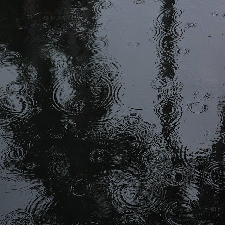 ☂️비오는 날 플리☂️