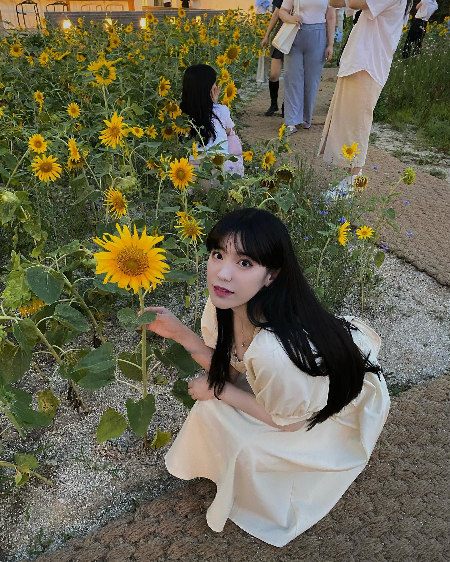 🌻