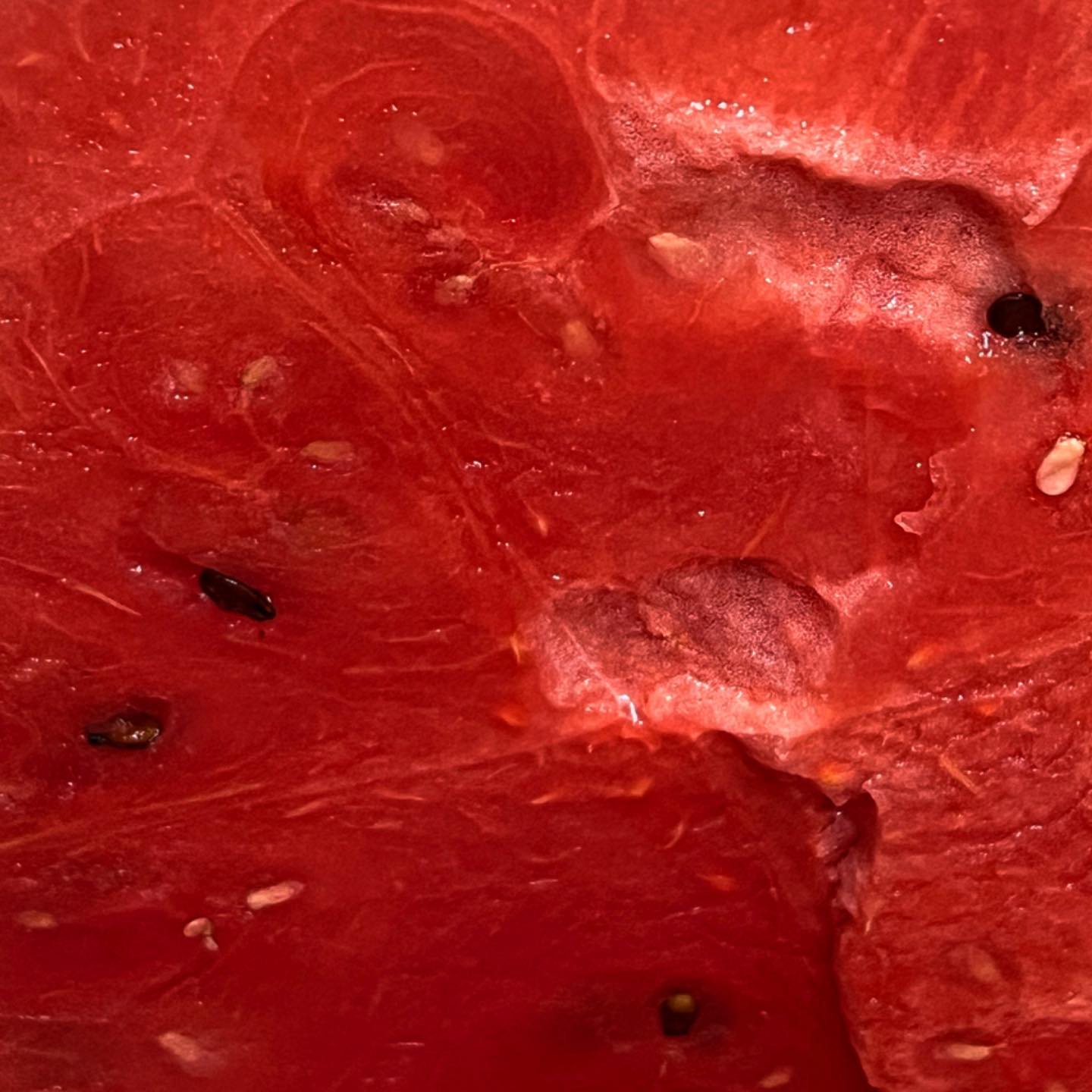 올해 첫 수박 🍉
꿀맛😋