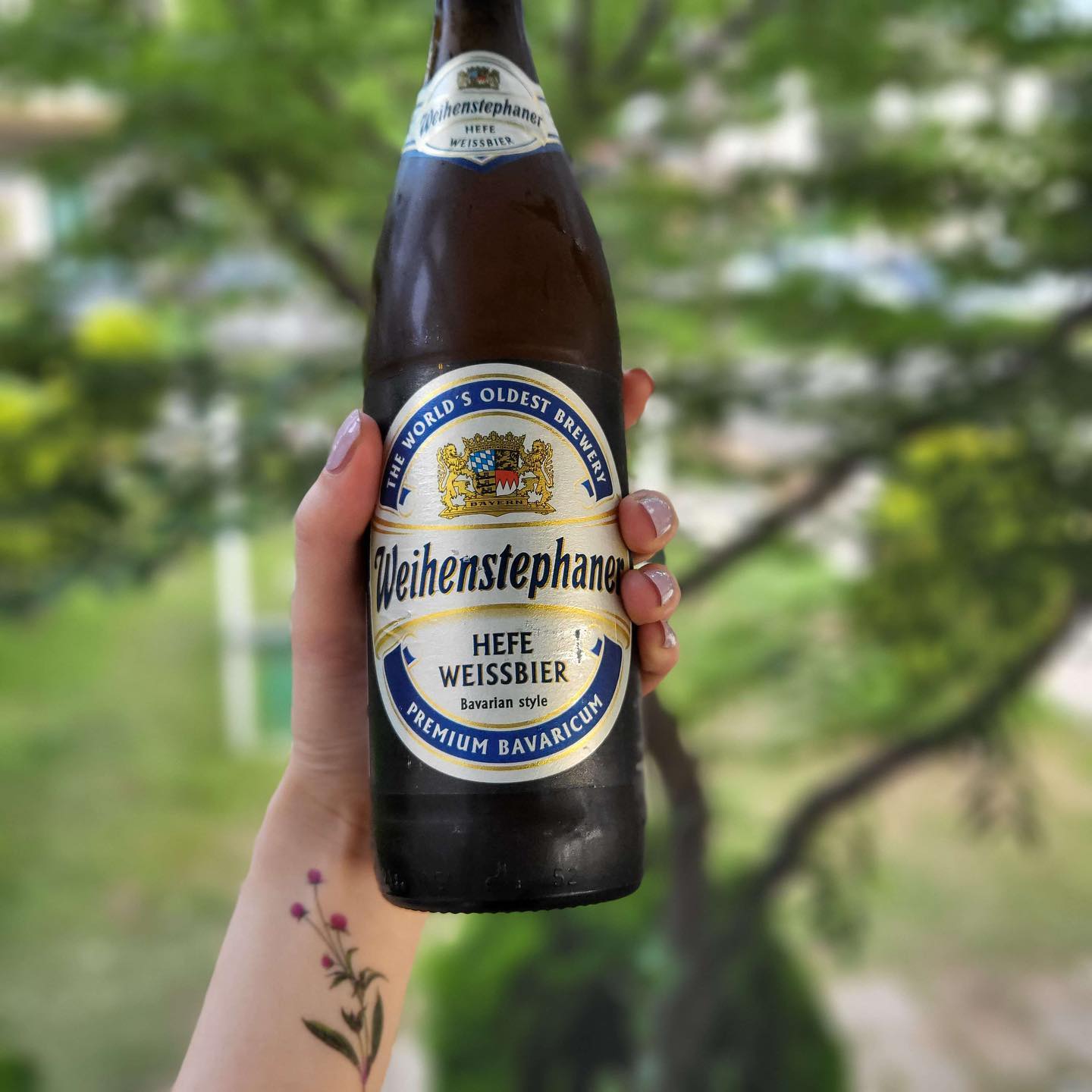 🍺🍻🌱🌿☘️🍀🍃