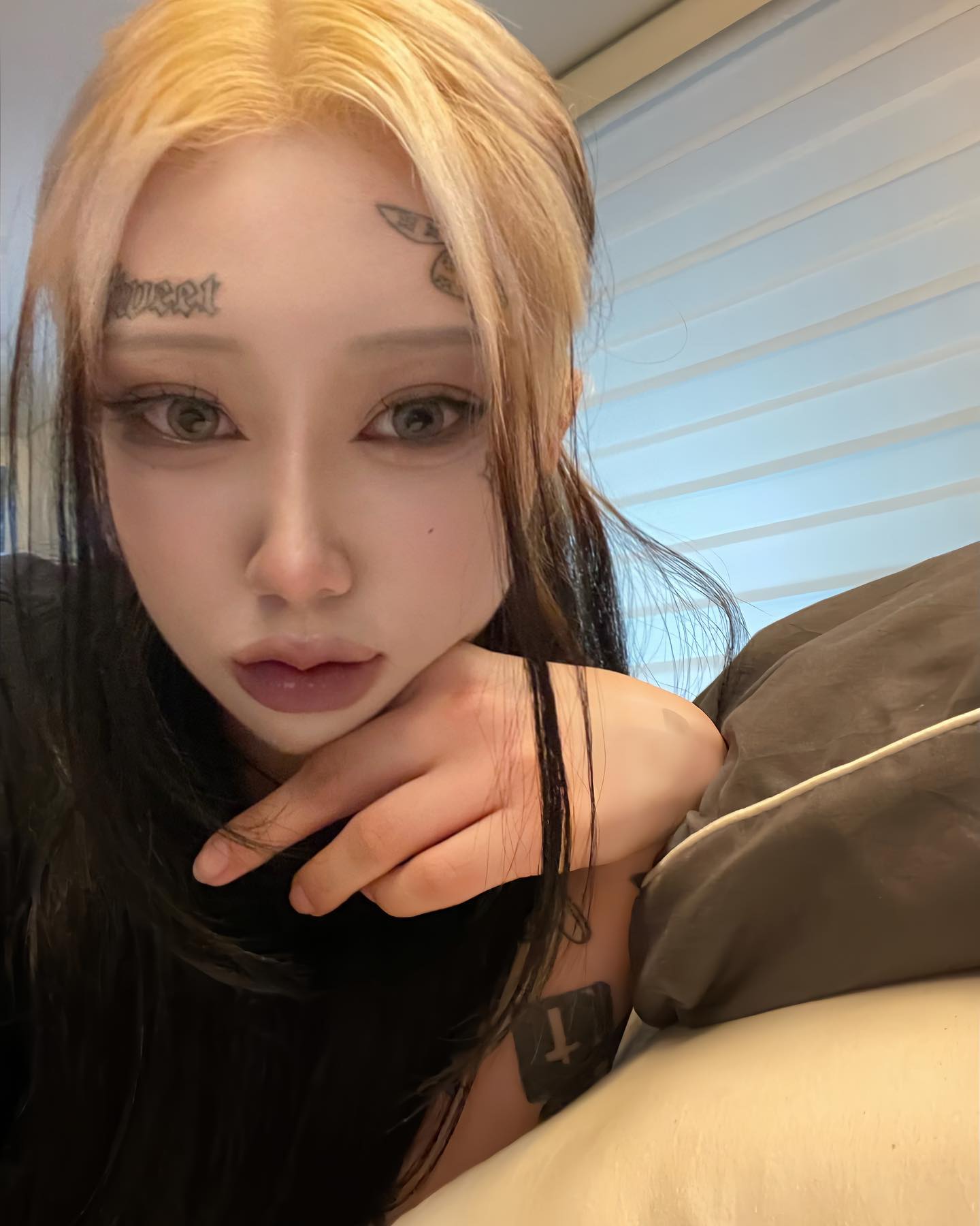 🪽