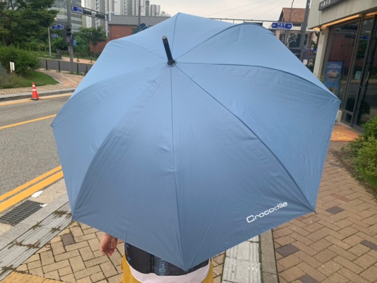 20대 남자양산 레인앤훼밀리 크로커다일 암막장우산