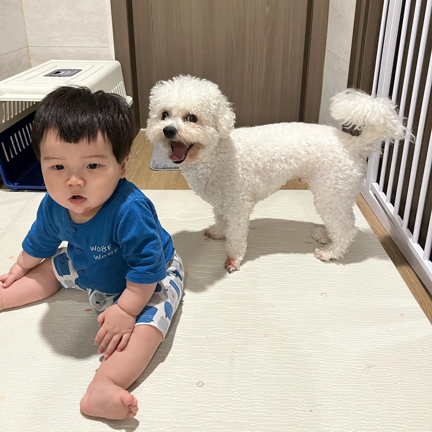 문앞에서 퇴근한아빠 기다리는 아가들