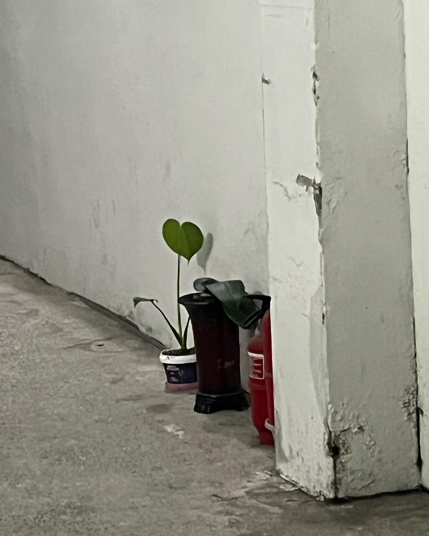 무한감사
