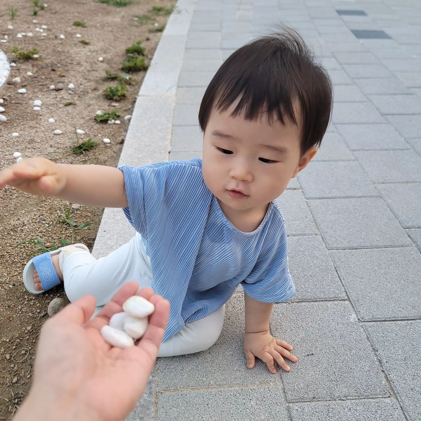 엄마한테 자꾸 돌 주워주는 아들램🩵

#돌이예뻐? #엄마사랑아들램 #펭귄아들🐧 
#14개월