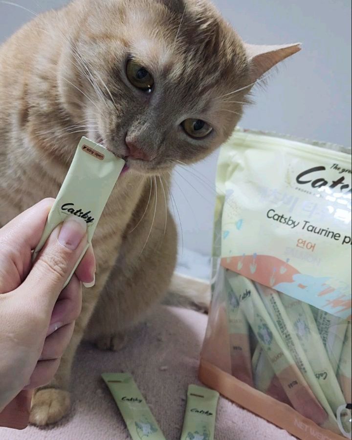 #calers #고양이간식 #타우린영양제 #캐츠비타우린플러스 #타우린함량 #국내생산 #츄르간식 #수분섭취 #건강한원료 #고양이영양제 #고양이 #cat #고양이가성비간식 #냥스타그램 
#고양이간식추천 #냥팔 #pet #petstagram #catfood #catstagram #냥집사 #follower #반려동물영양제추천 
#고양이프리미엄간식 #고양이면역력 #타우린간식 
#가성비간식 #일상 #소통 #좋아요
🐱💞