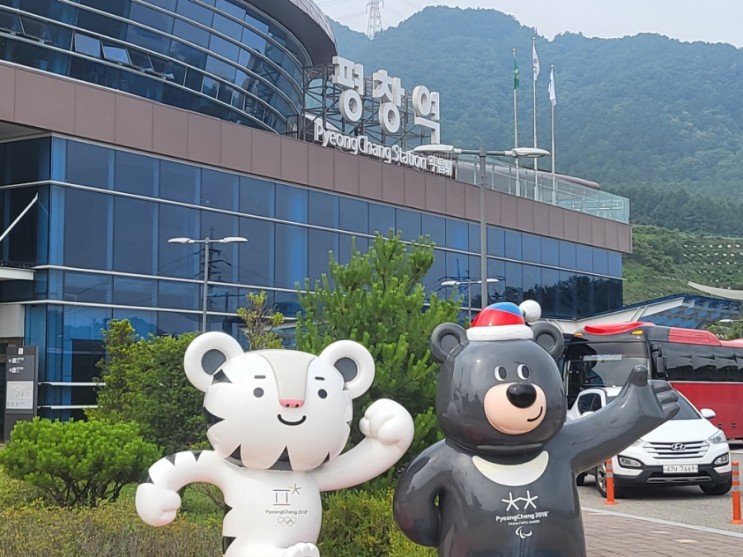 평창캠핑장 봄여름가을겨울펜션