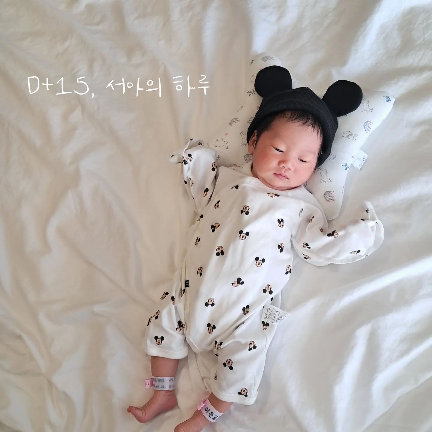 🌎 서아가 지구별 도착한지 D+15
 
기럭지는 아빠닮은것같아서 이엄마가 뿌듯하구나,
이대로 잘먹고! 잘싸고! 잘자고! 잘웃어주렴 🩷
 
임신하고 처음으로 회사동료들 지인한테 선물받은 애기옷이였는데 
진짜 너무너무 귀여웠던 미키마우스 세트, 크지 않을까? 싶지만 챙겨서 
조리원에서 입혀봤는데 발이 툭 튀어나온다ㅋㅋㅋㅋㅋㅋ귀엽다 징짜?
 
 
#아가방 #아가방미키마우스 #미키마우스 #배넷저고리 
#산후조리원 #여기천국맞는거지 #토끼띠맘소통 #육아일기 
#배넷짓 #육아템추천 #초보엄마 #신생아용품
