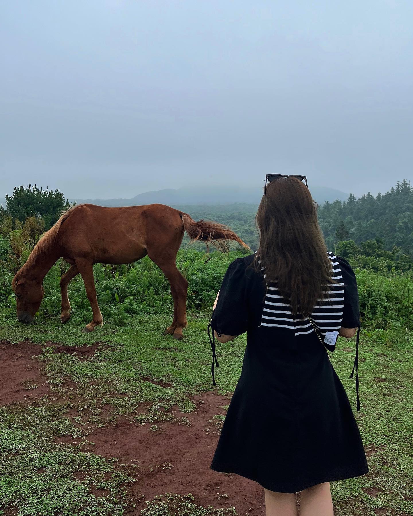 🐎 도지 오름