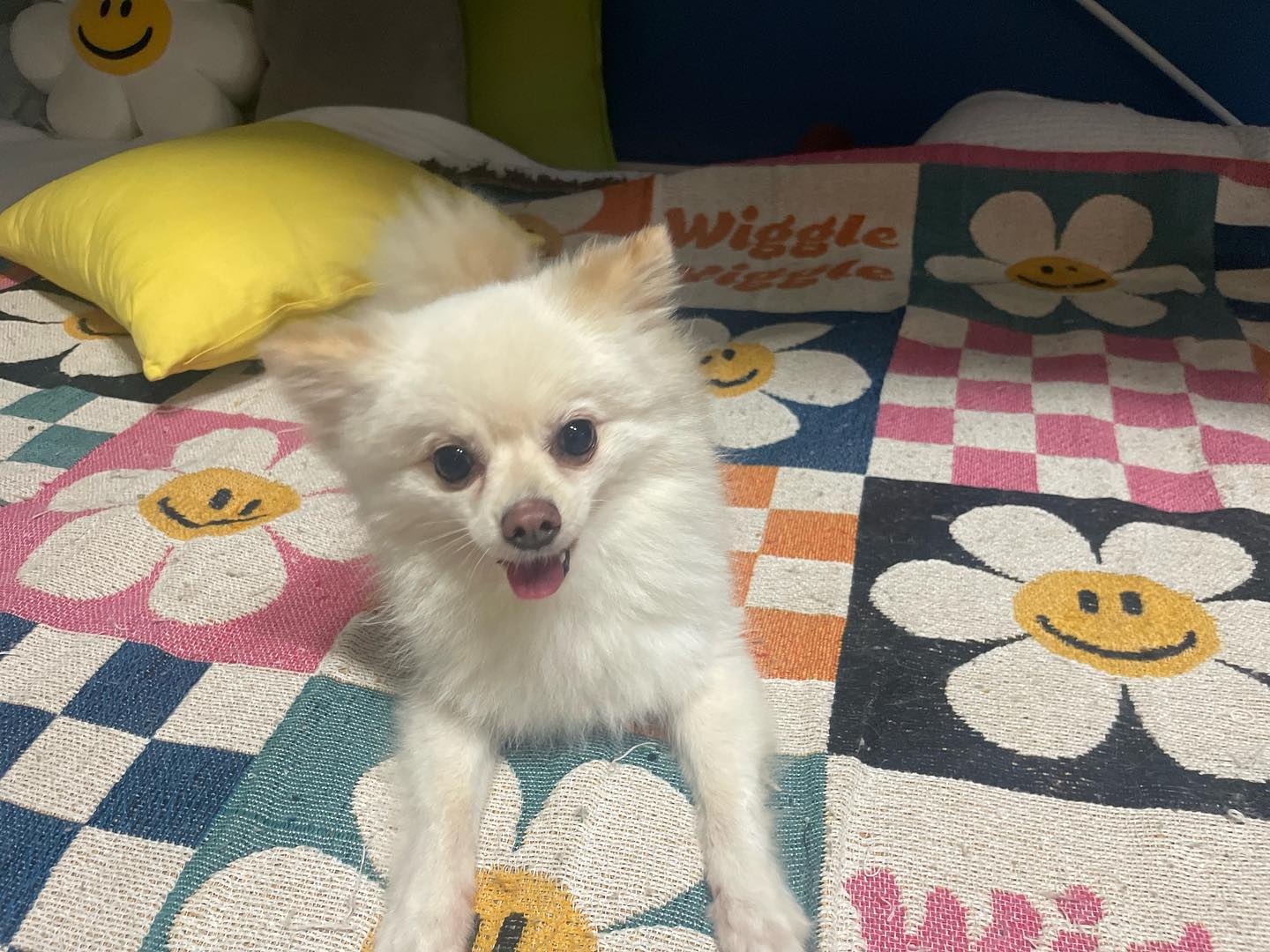 마이러브