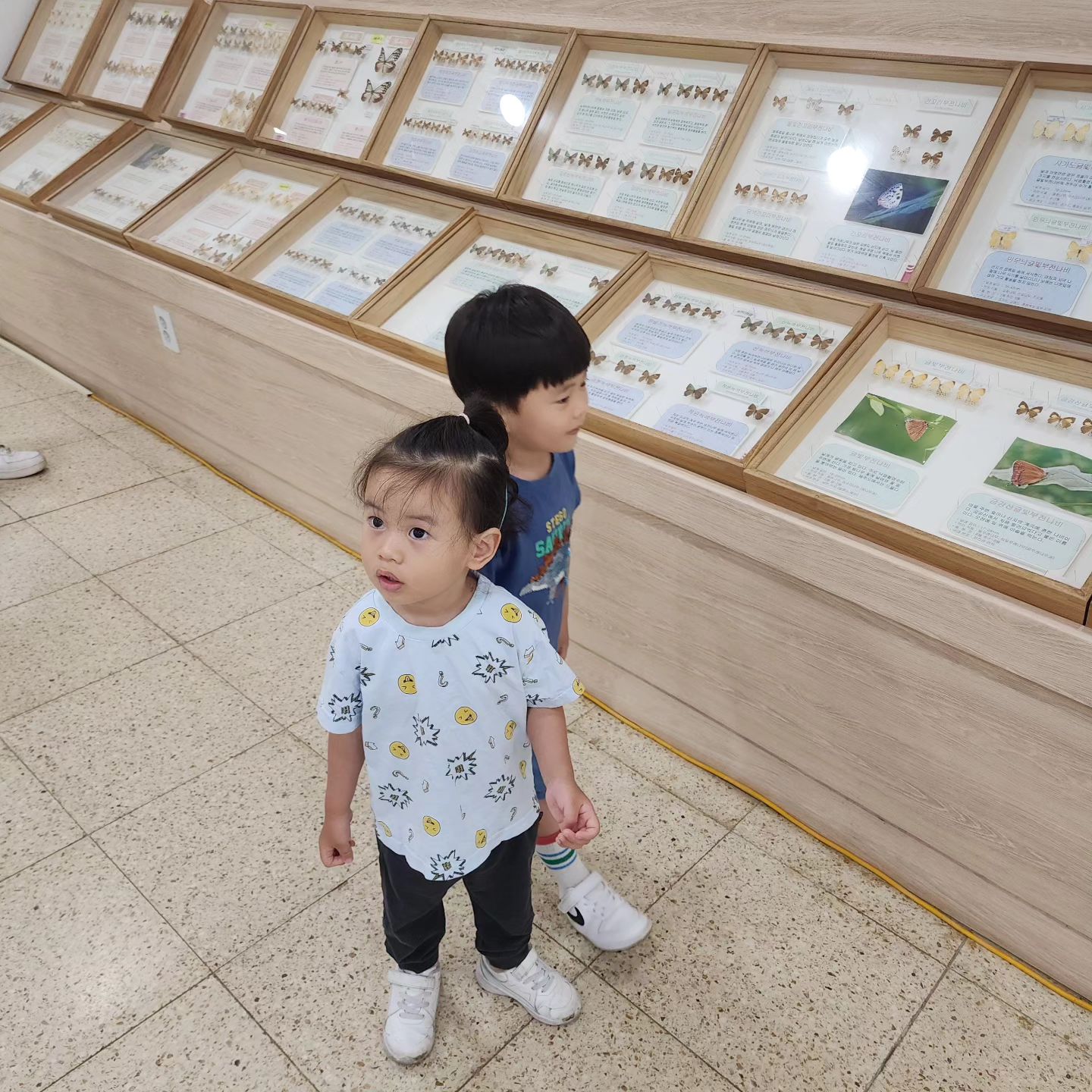 🦋🦋🦋🐛🐛🐛

#구리시곤충생태관 

넉넉하게 딱 2시간 구경하기 좋아요.

나비관에서는 진짜 살아있는 나비를 구경할수 있고 한쪽에서는 선생님이 나비 번데기를 관리하고 계시더라구요.😊

막 부화한 나비가 잎에 앉아서 날개가 마르기까지 관찰할수 있어서 아이들에게 좋은 시간이 될것 같아요😁

넓은 공터에는 작은 놀이터도 마련되어있는데 확실히 더운날에는 좀 힘들다는..🫠

가까운 분들은 무료이기도 하니 잠깐 들리는 코스로도 좋을듯 합니다😄

#일상 #일상스타그램 #육아 #육아스타그램 #아이와외출 #주말육아 #직장맘의주말 #형제맘 #구리시곤충생태관 #주말여행