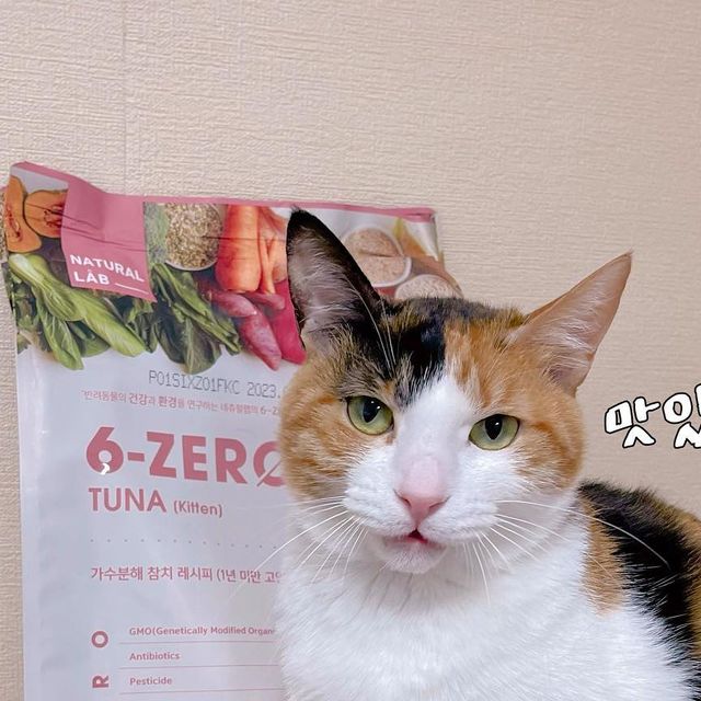 이설 (˙Ⱉ˙) on Instagram: "🐈#협찬 #네츄럴랩🐈 ✔️ 네츄럴랩 6ZERO는 항생제, 살충제, 합성착색료(타르), 합성착향료(티몰), 호르몬제, 유전자변형물질 6가지 유해물질이 없어서 제품 이름도