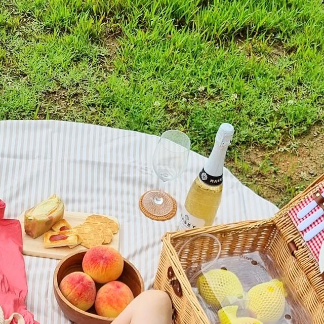데일리쩡쓰 on Instagram: "#광고 @and_o_mat 원형매트가 주는 감성이 제대로 살아있는 포심플 앤오매트🌿 가볍고 휴대성 좋은 더스트백이 있어서 편하게 들고 다니기 좋은데요 몸에 닿는 면은 생