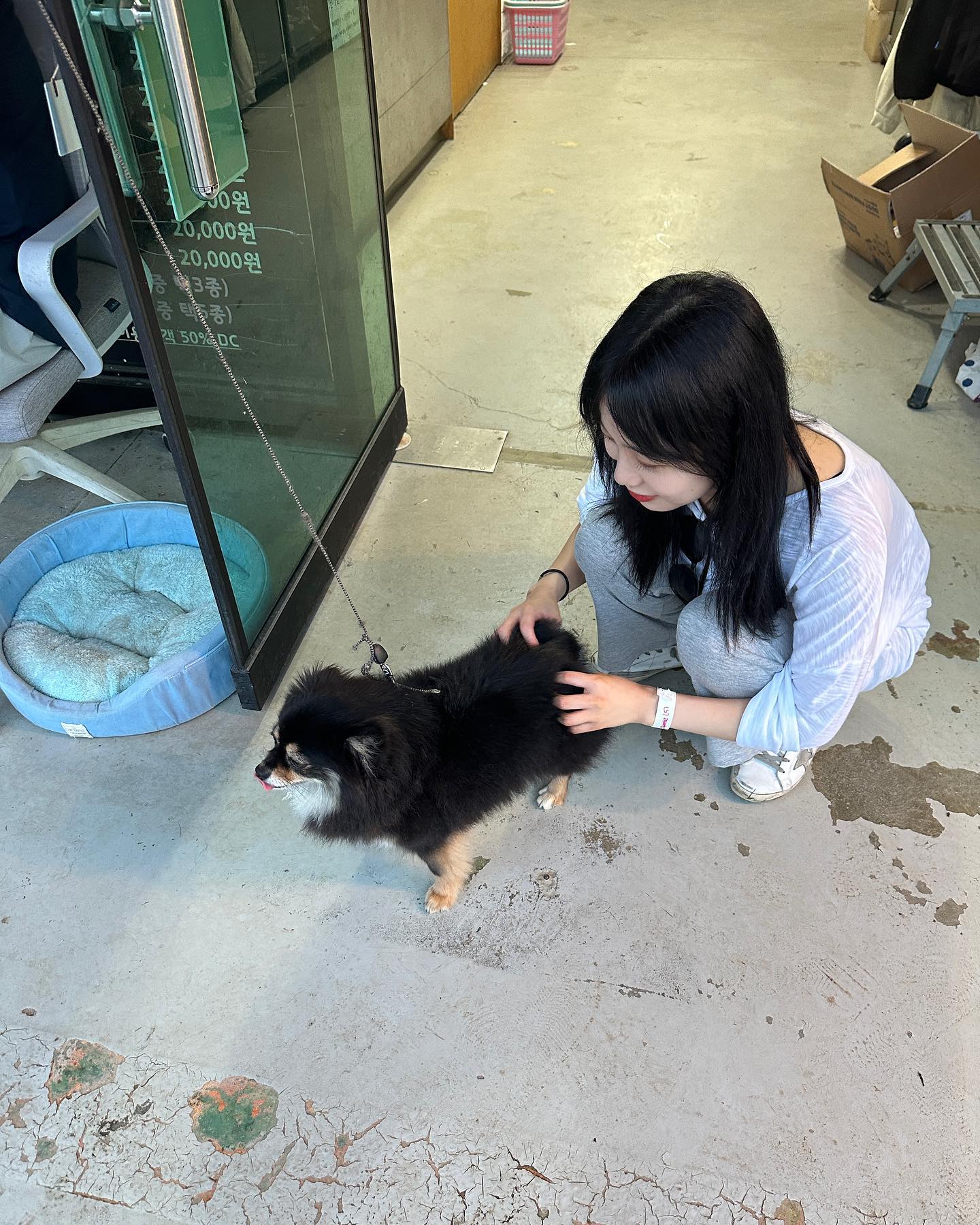 빠지의 재미를 알아버려따🫣🫨