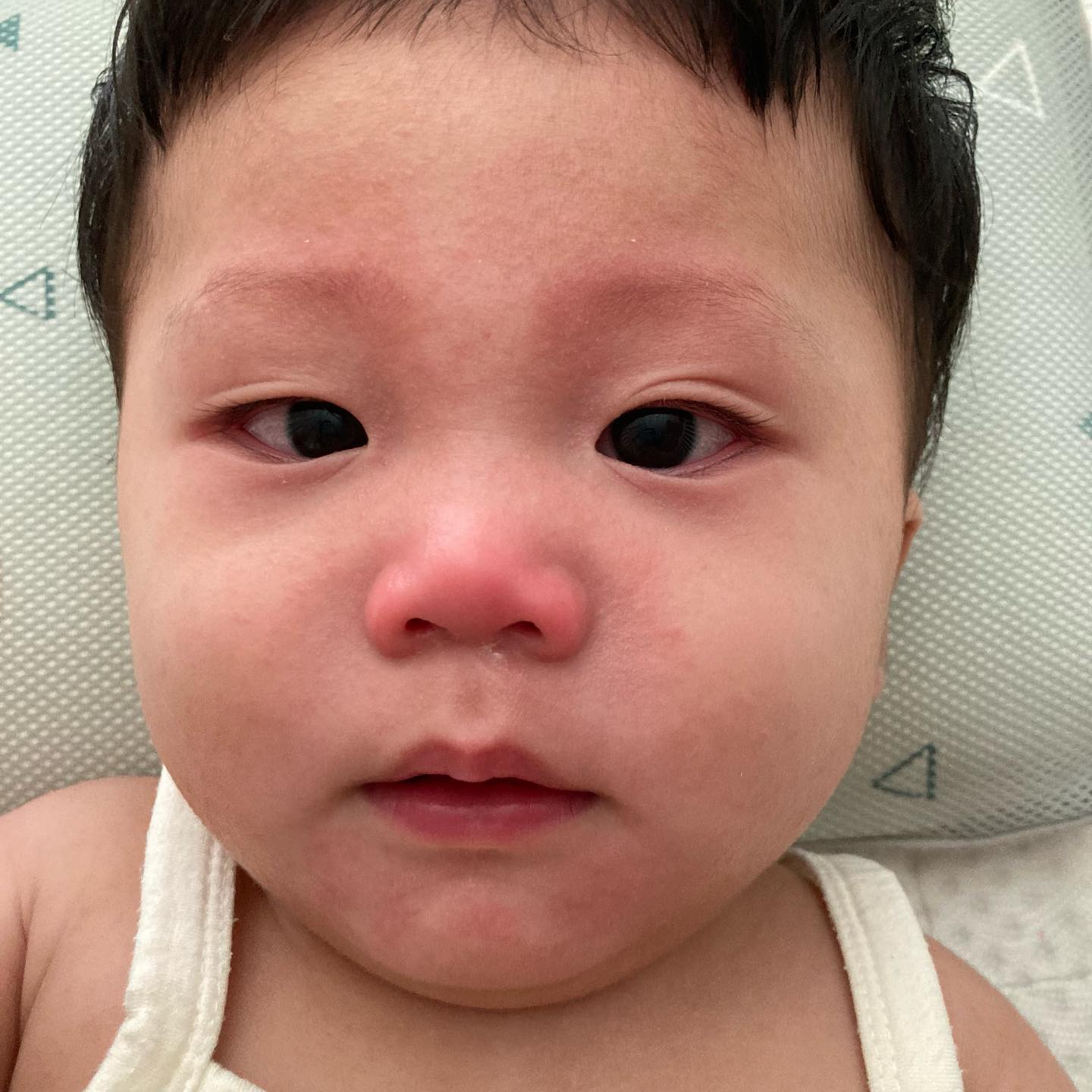 💝
🏷 D+200
감기 걸린 사랑이😭힝
코가 막혀서 우유도 제대로 못먹고 잠도 못잠
코가 이상해서 자꾸 비비고..쥐어뜯음
-
알레르기 끝났더니 이게 무슨일이야..
빨리 이겨내자👊👊👊