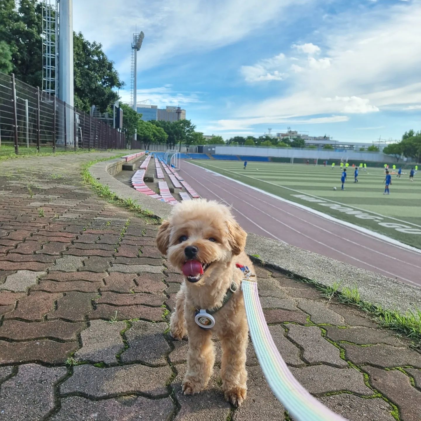 축구하는 엉아들 배경으로 찰칵 photo~📸

김밥 포장도 기다릴 줄 아는 나 제법 멋져~