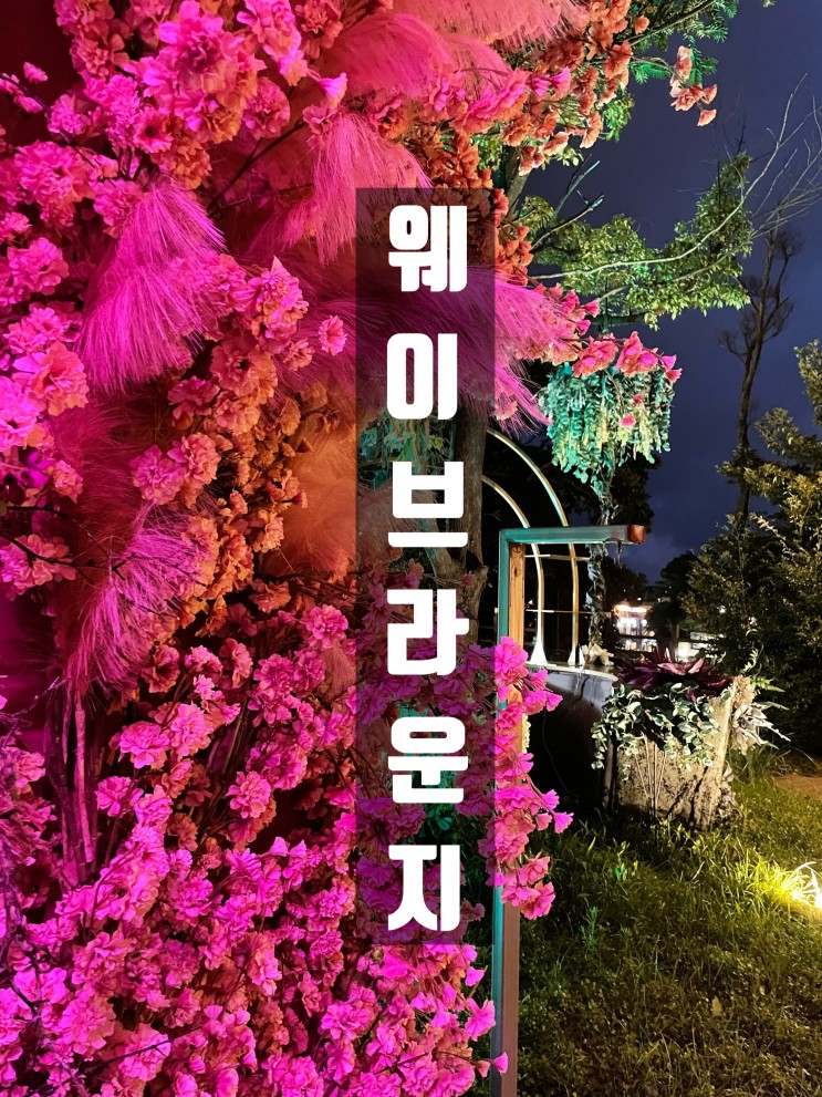 분위기 개쩔탱 서귀포라운지바 제주 중문핫플 웨이브라운지