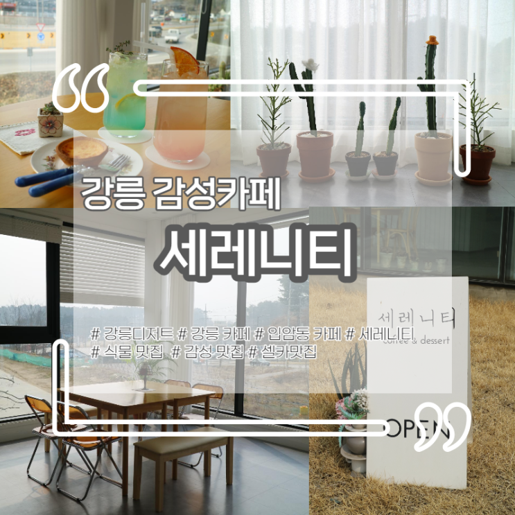 '세레니티'에서 여유롭게 즐기는 강릉디저트
