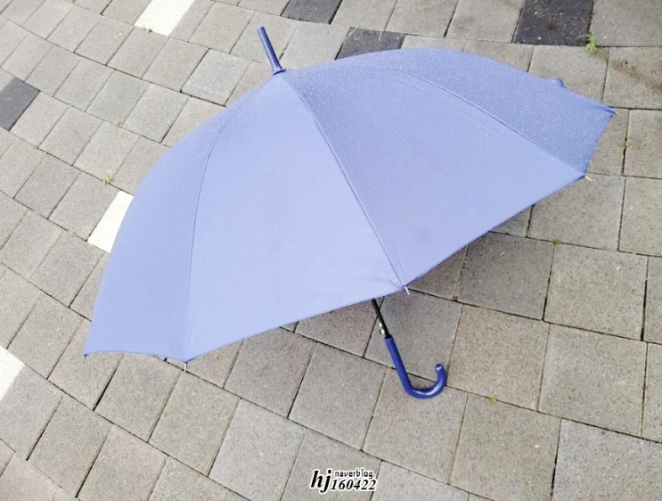튼튼한장우산 세인트코스트 여름장마철 우산으로 준비했어요