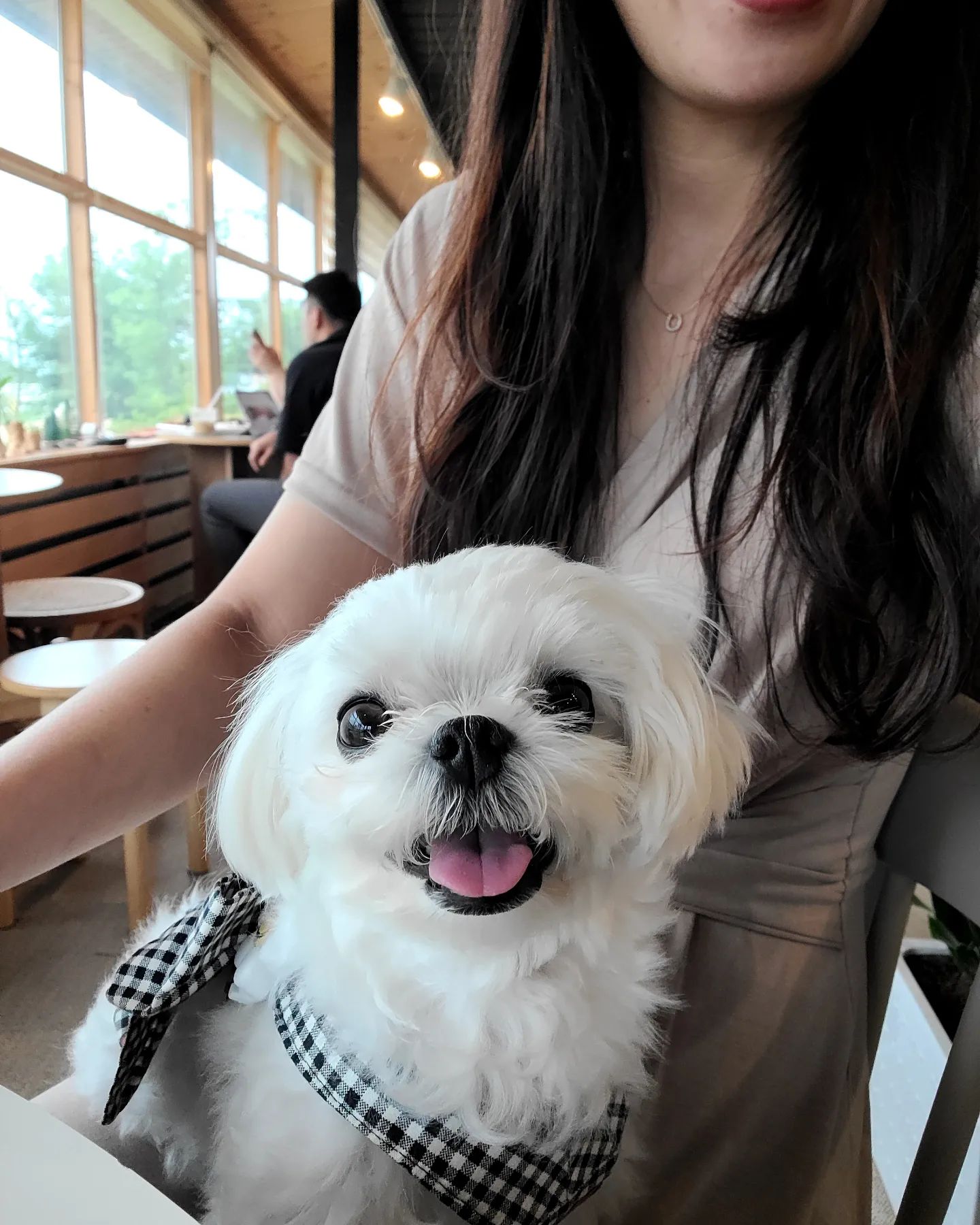 엄마아빠랑 쌀로만드는 케이크 카페가 있다해서 출똥!!!❤
두부도 케이쿠 먹고싶다~~😵

#맞팔멍팔 #멍팔맞팔🐶  #멍스타그램🐕 #댕팔맞팔환영 #말티스타그램🐩 #강아지일상 #강아지그램#춘천강아지동반카페#춘천애견동반카페#춘천쉬러와
