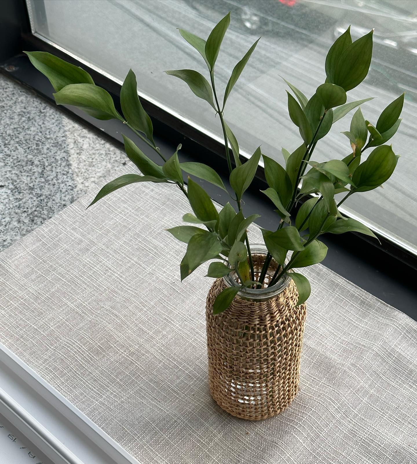 장마 후 따사로운 햇살 맞으며 수련✨

얼마만에 뜨거운 햇살인지 :)