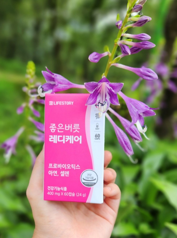 여성유산균 가성비유산균  [라이프스토리 좋은버릇 레디케어]