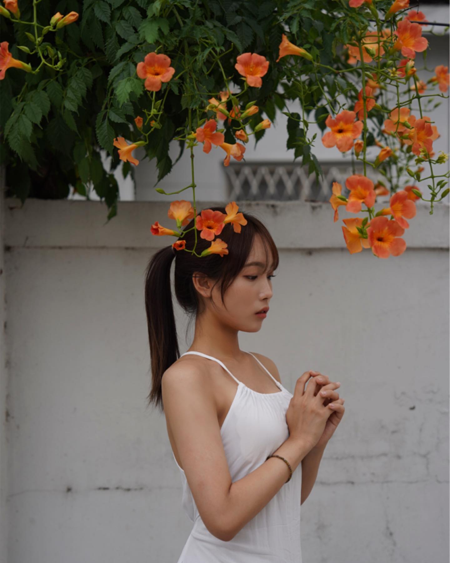 콘텐츠