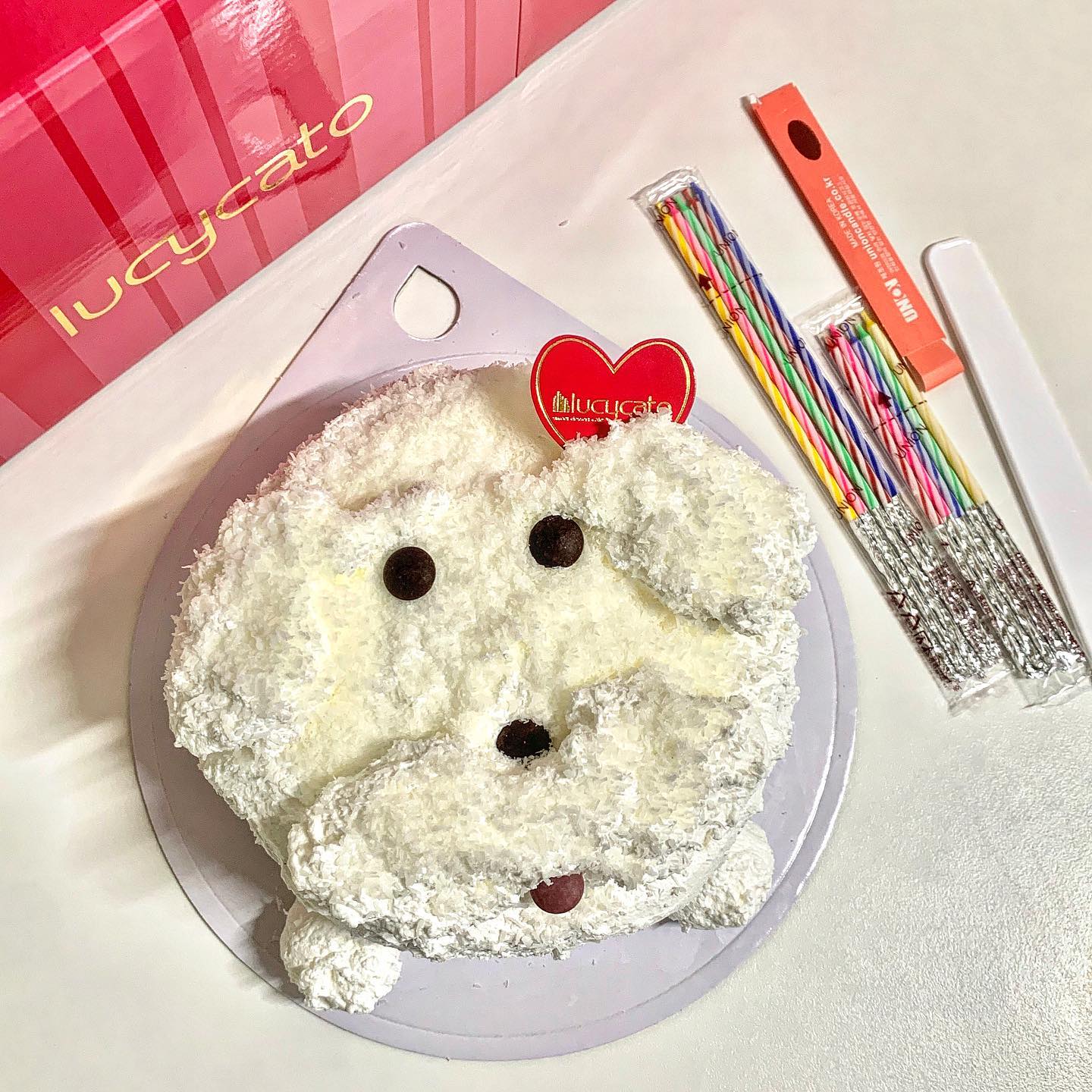#협찬
#DIY케이크
#루시카토 

🔅 루시카토 댕댕이 케이크 만들기 - 19,900원

만들기 좋아하는 집순이 자취생 ••• 
​줄서서 먹어야 하는 ‘루시카토’ 디저트를
집에서 만들어 먹을 수 있다고 ? 🤍

신세계 백화점과 롯데 백화점 식품관에
전시되어 있는 루시카토 흰둥이 케이크❕🤤
DIY로 구성하여 어린이들과 함께 만들어도 딱이고 ,
나 같은 집순이 취미로도 너무 좋다 
열심히 만들면 맛있는 케이크는 덤 ~ ❇️

예쁘게 만드려고 노력해 봤지만 •••
뭔가 보면 볼수록 뭔가 웃기게 생긴 내가 만든 댕댕이
그래도 보면 볼수록 정든다 ㅋㅋ
뭔가 복실복실한 질감을 내고 싶어서 노력했는데 ,
생각했던 것처럼은 잘 안되었지만 王뿌듯 😊

준비물도 꼼꼼하게 챙겨서 보내주시고
자세한 만드는 방법도 인내문으로 함께 주심 
촉촉한 초코 시크에 부드러운 생크림 •••
특히 생크림이 정말 부드러웠다 ✴️
위에 솔솔 ~ 뿌린 코코넛 가루도 식감 좋아 

가족과 함께 집에서 강아지 모양의 케이크로
추억 쌓으면 너무 좋겠다 - 🫶🏻
케이크 상자까지 챙겨주시니 
선물용으로 뽀짝하게 만들어도 굳 🎈👍🏻

。。。。。。。。
🌀​ https://smartstore.naver.com/chanung/products/8193313745
​
#케이크만들기 #아이와함께 #나만의케이크 #못말리는흰둥이 #홈카페 #카페 #케이크 #베이킹 #간식추천 #디저트추천 ​#​맛스타그램 #먹팔환영 #선팔하면맞팔 #먹스타그램 #온더테이블 #먹스타맞팔 #먹스타 #음식스타그램 #맛집 #맞팔 #먹팔해요 #좋아요반사 #food #mukbang