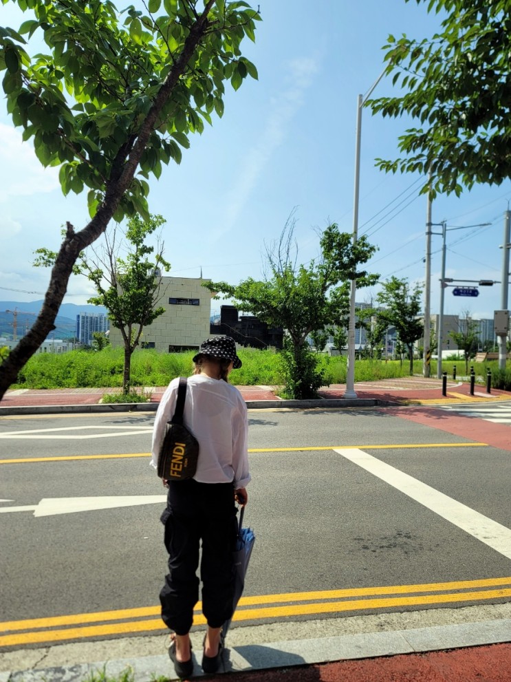 비바람을 이겨내는 튼튼한우산 추천! 태풍이 닥쳐도 안심하고 사용할 수 있는 장우산추천