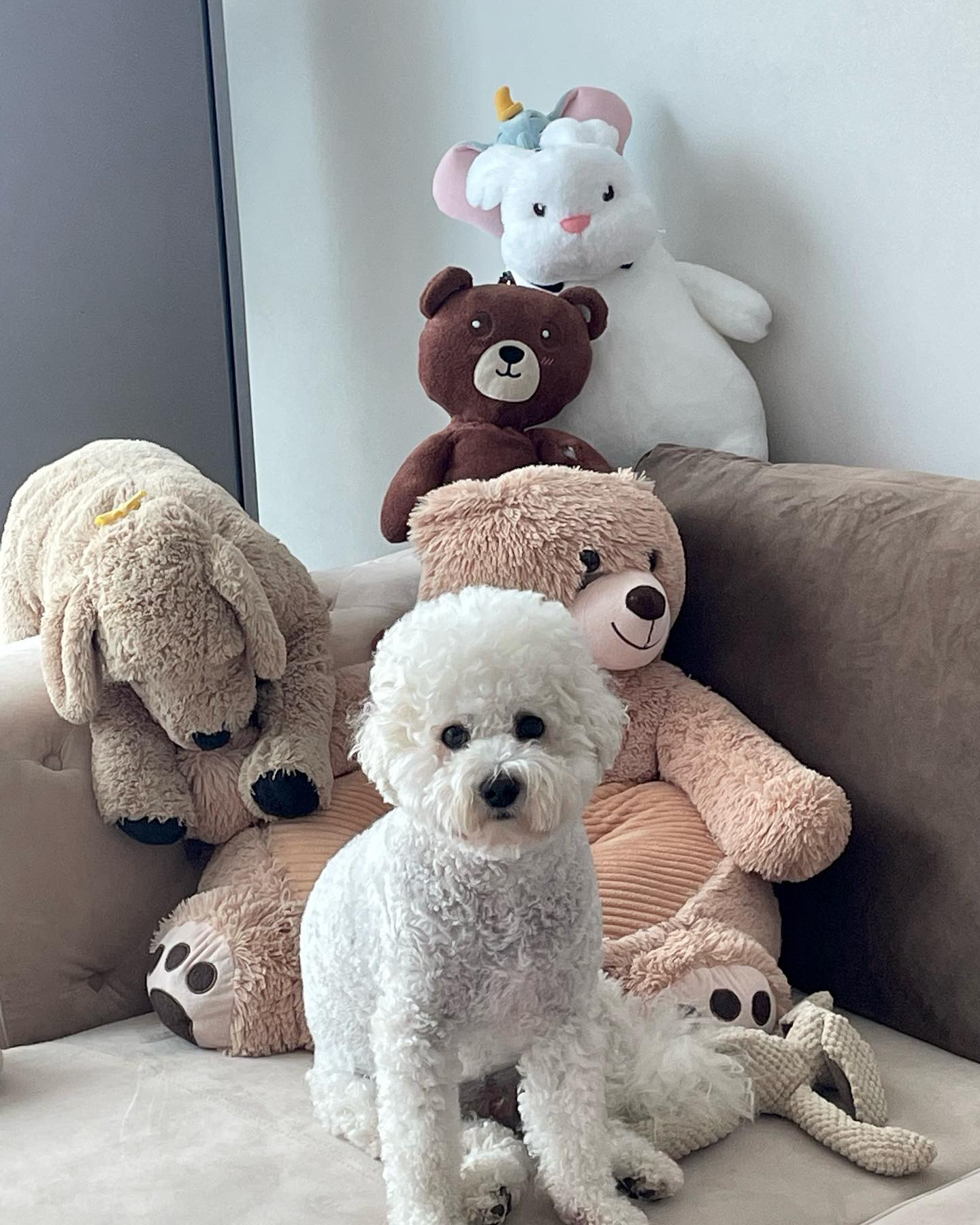 인형인 척 앉아 있어볼까 ㅎ ,,૮ᐡ•͈ ·̫ •͈ᐡა