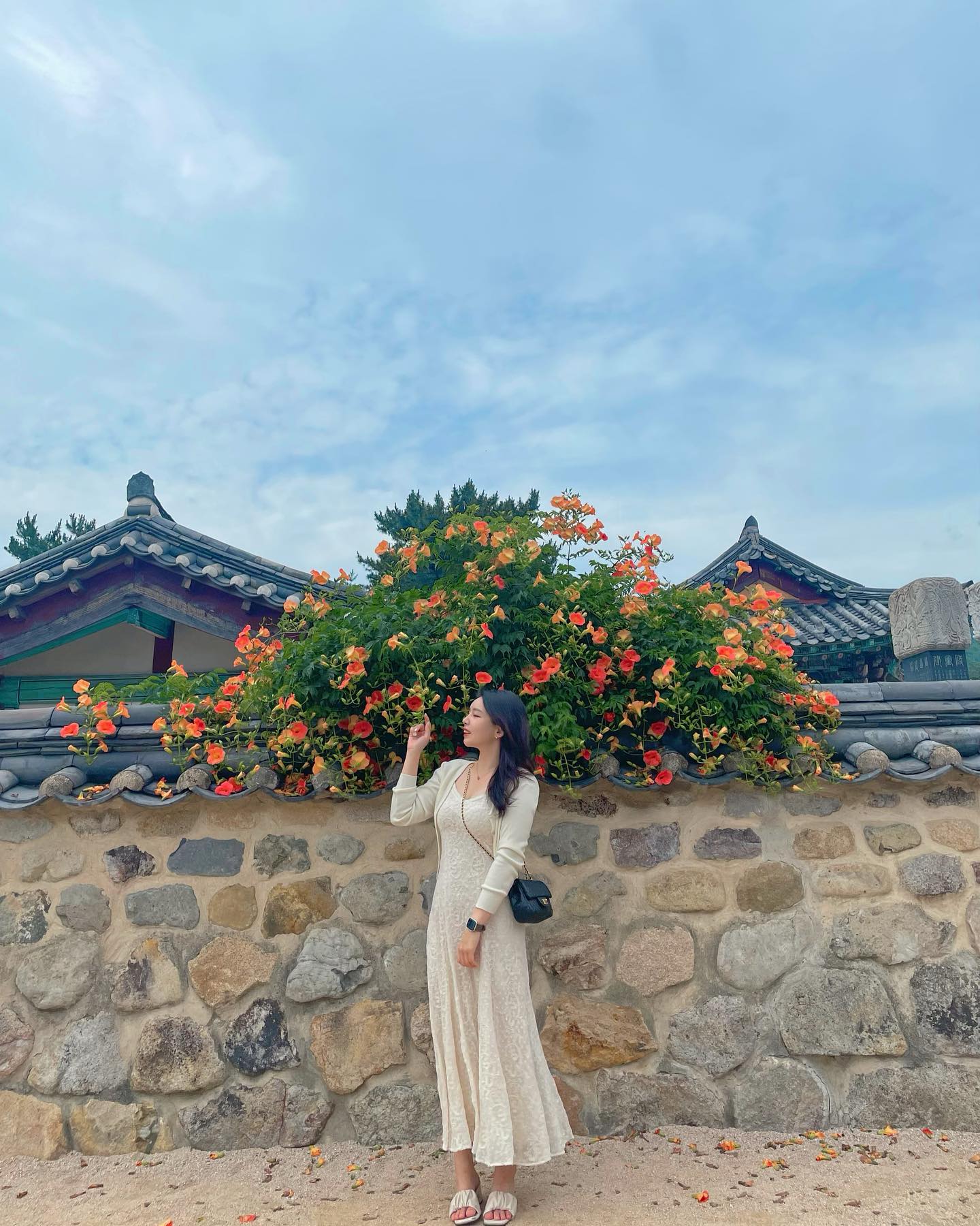여름의 꽃 : 능소화🌺