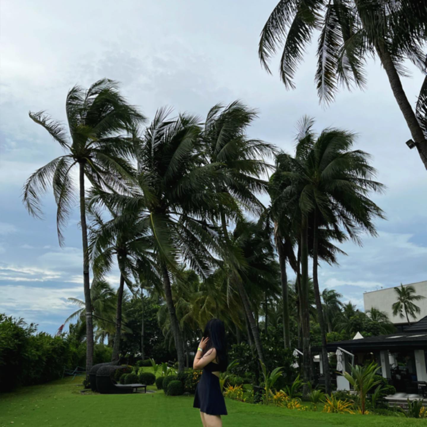 🇵🇭Manila🇵🇭
2023.07.23~2023.07.26
오빠랑 유미네커플이랑
.
.
.
#philippines #Manila #마닐라여행