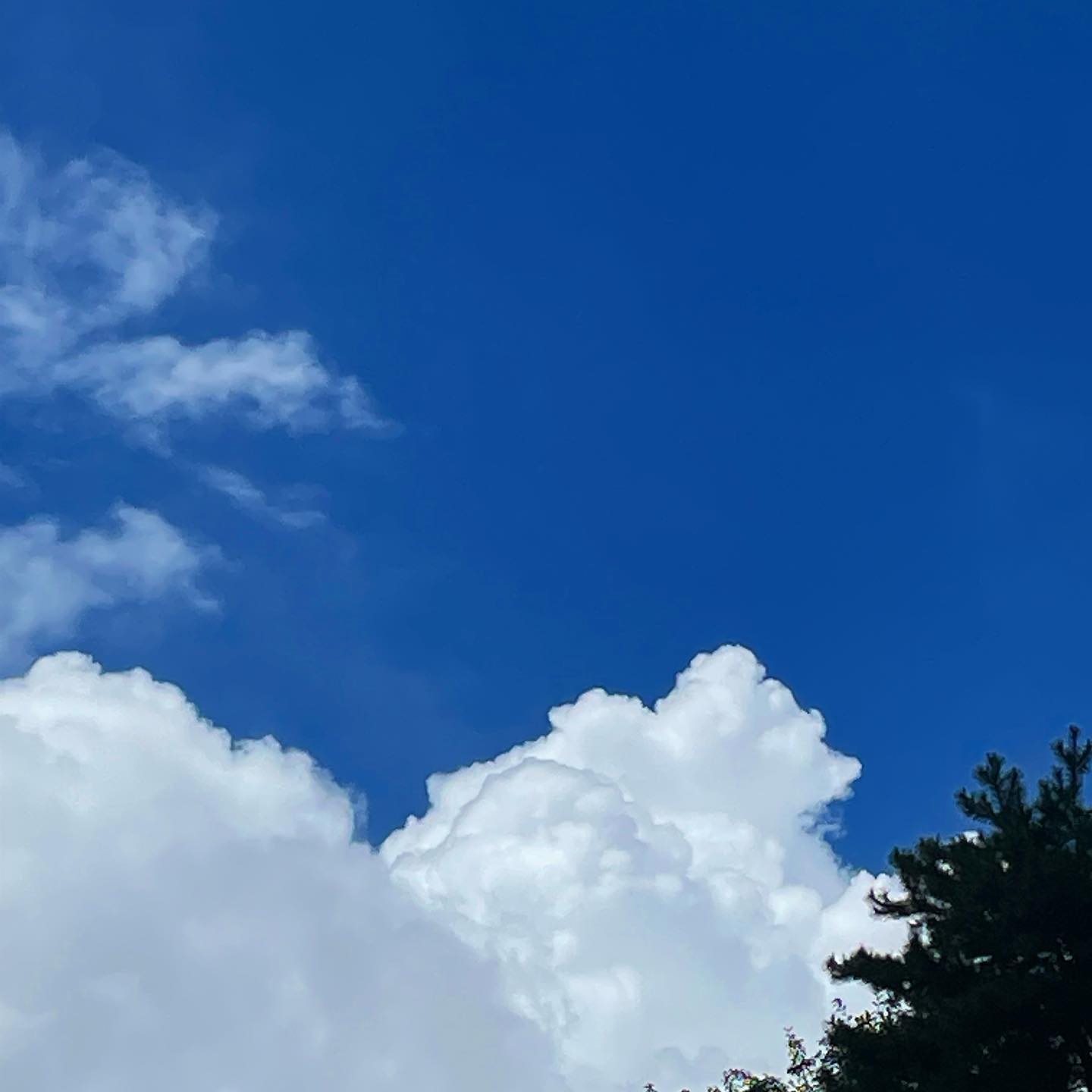 오늘의 구름 ☁️