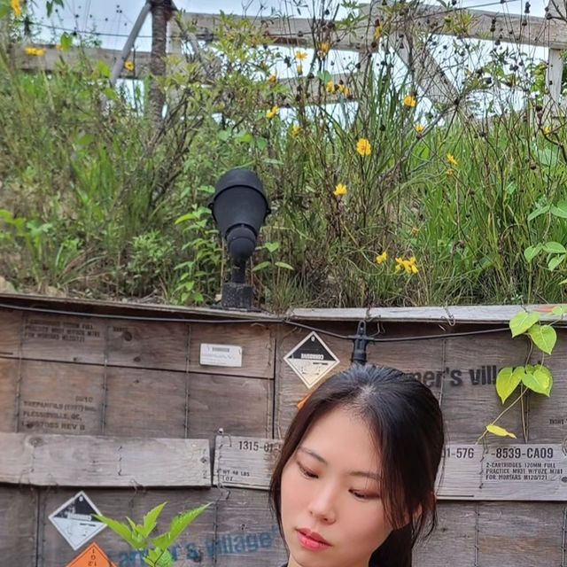 유하랑 on Instagram: "#협찬 #광고 약 500종류의 다양한 향을 보유하고 있는 블랙하비에서 도손 로즈향 향수를 협찬 받았습니다! 진짜 장미를 갈아 넣은 듯한 살짝 파우더리하고 부드러운 향기