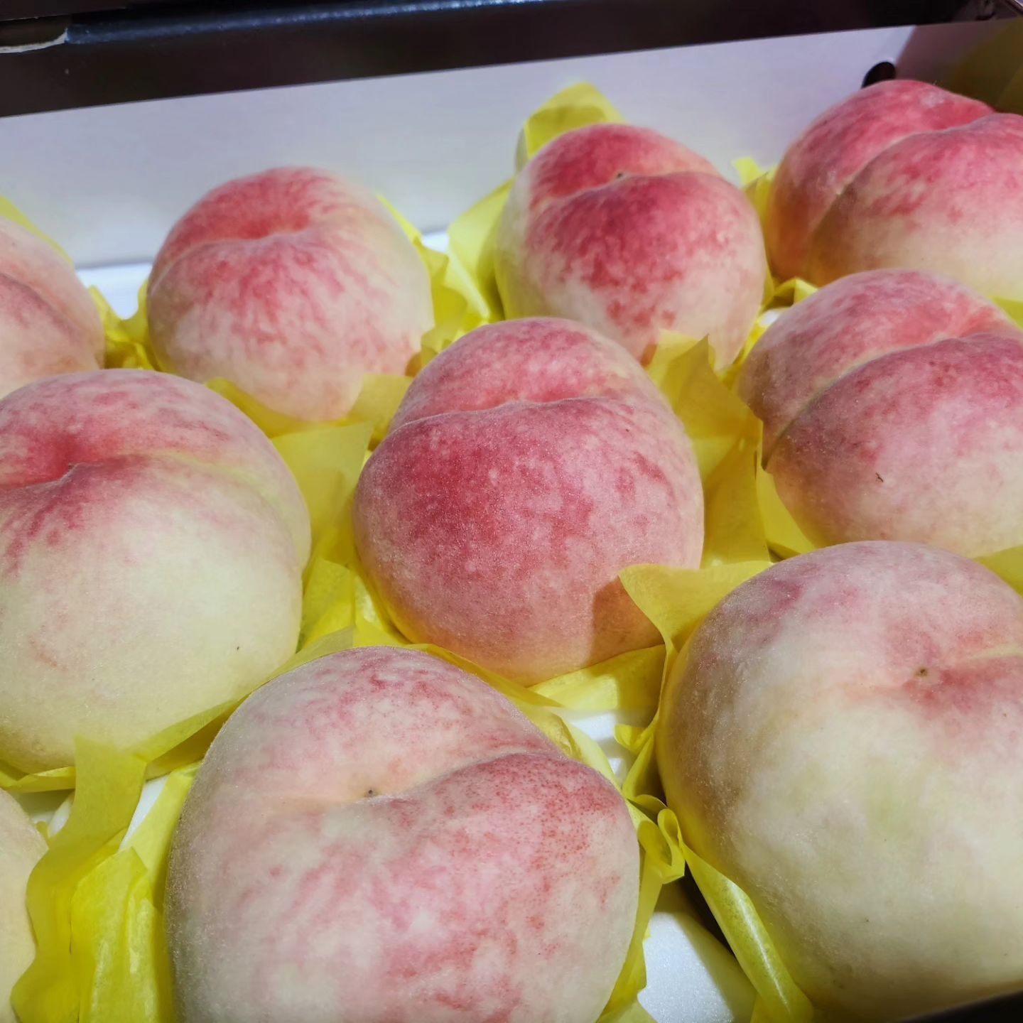 올해도 복숭아 판매합니다
#보은복숭아 #금적복숭아 #큰복숭아