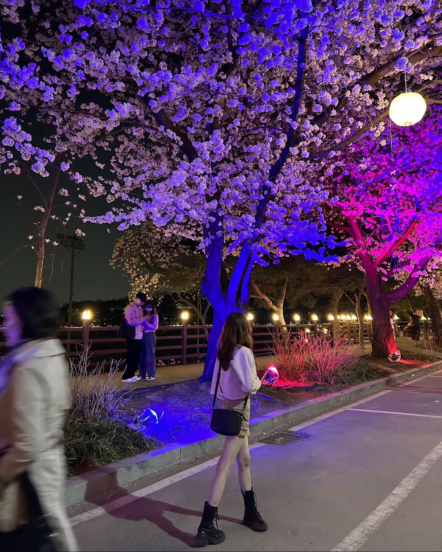 누가보면 유라요정이 손에 꽃다발 들어가면서 얌전히 
딱 기다려…목이 빠져라 언제오나 올때까지 약속 기다리는 사람
처럼 보이지..?🙄현실은 조명때문에 꽃다발처럼 보이는거~^^
이날..그 유명하다는 과천 벚꽃축제 구경가서는 텐션이 입꼬리가 
또 올라갔단말야~~🙄근데 하필 잘 놀다와서는 타이밍 못맞춰서
문 도어락 방전되었지뭐야…🙆‍♀️🥲 그 새벽에 문 따다 실패하고 자기집을 못들어가서 본의아니게 근처 외박하게되었던날^^
잊지못해..그걸 몰랐으니 엄청 엄청 유라요정 신났지 뭐얌ㅎㅎ🧚